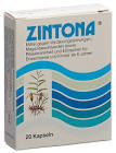 ZINTONA caps 20 pce