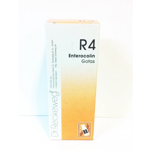 RECKEWEG R4 Enterocolin gouttes fl 50 ml
