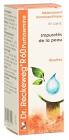 RECKEWEG R60 Purhaemine gouttes fl 50 ml