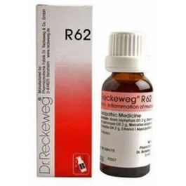 RECKEWEG R62 Morbilin gouttes fl 50 ml