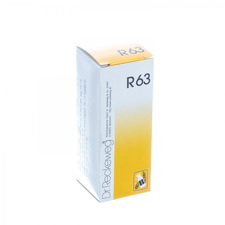 RECKEWEG R63 Endangitin gouttes fl 50 ml