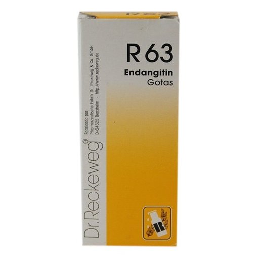 RECKEWEG R63 Endangitin gouttes fl 50 ml