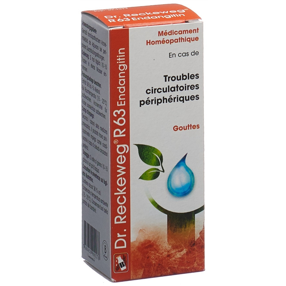 RECKEWEG R63 Endangitin gouttes fl 50 ml