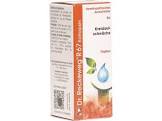 RECKEWEG R67 Kollapsin gouttes fl 50 ml
