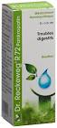RECKEWEG R72 Pankropatin gouttes fl 50 ml