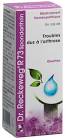 RECKEWEG R73 Spondarthrin gouttes fl 50 ml