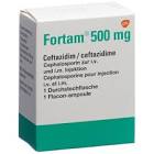 FORTAM subst sèche 500 mg flac