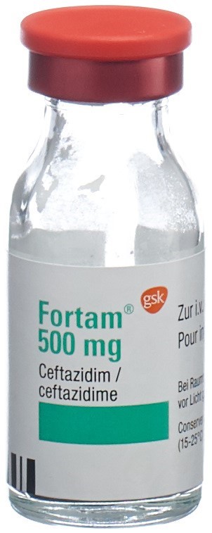 FORTAM subst sèche 500 mg flac