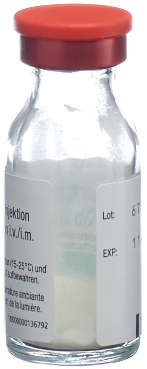 FORTAM subst sèche 500 mg flac
