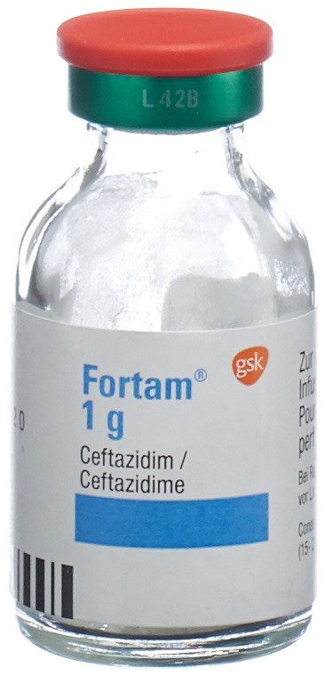 Fortam 1 g, Pulver zur Herstellung einer Injektions- oder Infusionslösung