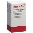 FORTAM subst sèche 2 g flac