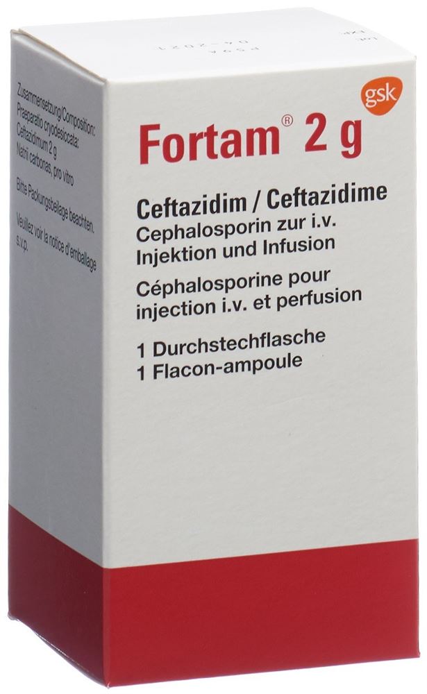 FORTAM subst sèche 2 g flac