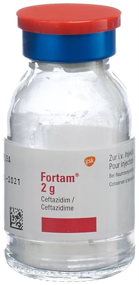 FORTAM subst sèche 2 g flac