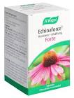 VOGEL Echinaforce résistance-refroi cpr 120 pce
