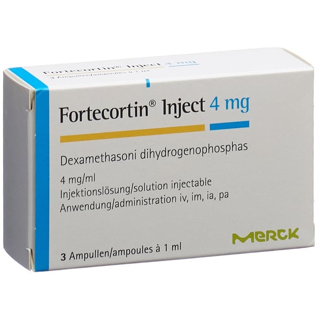 FORTECORTIN Inject sol inj 4 mg/ml 3 amp 1 ml