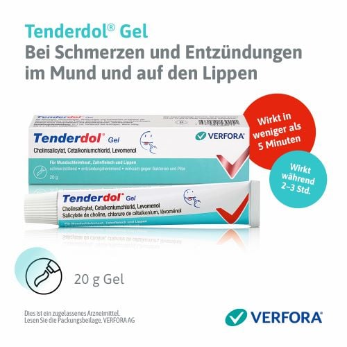 TENDERDOL gel tb 20 g