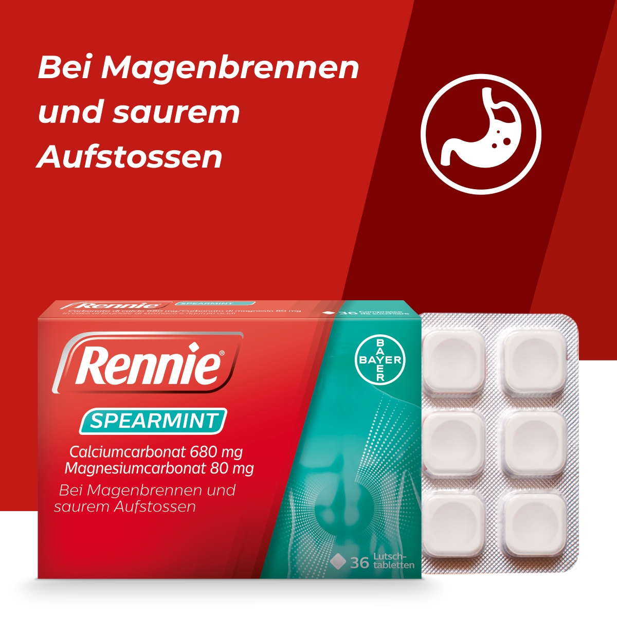 RENNIE Spearmint cpr sucer 36 pce