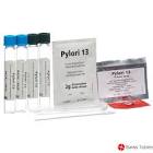 PYLORI 13 Helicobacter pylori kit de test respir