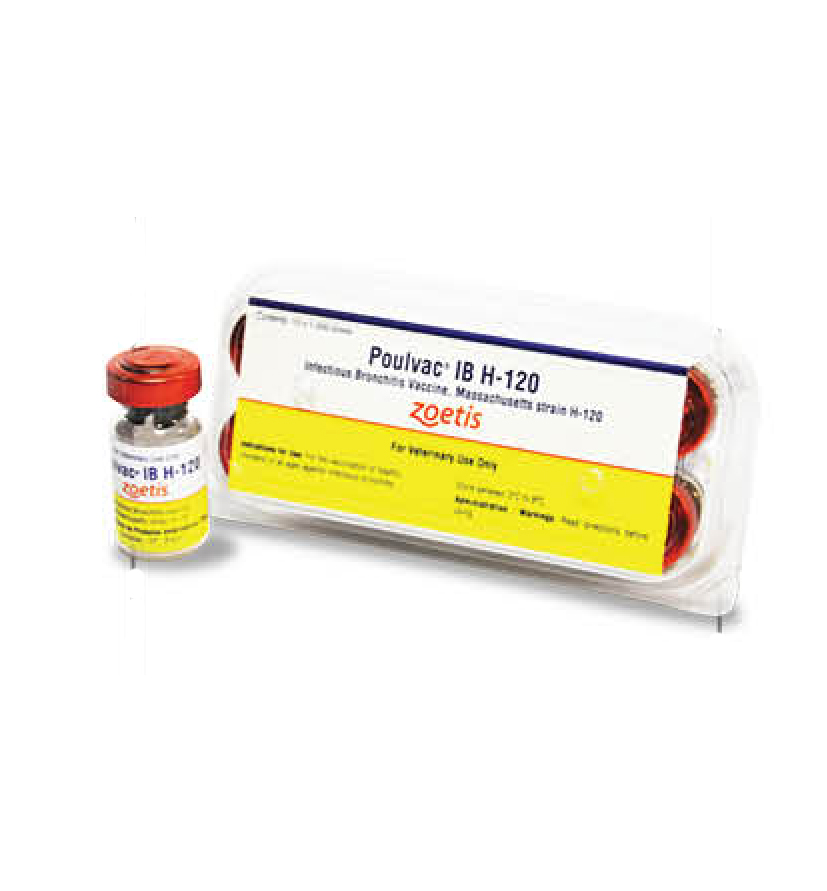 POLVAC arbres trait de base ser prê 3 x 0.5 ml