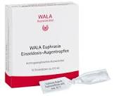 WALA euphrasia gtt opht 15 monodos 0.5 ml