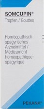 SOMCUPIN gouttes buvables fl 100 ml