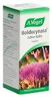 VOGEL Boldocynara foie-vésicule gouttes fl 50 ml