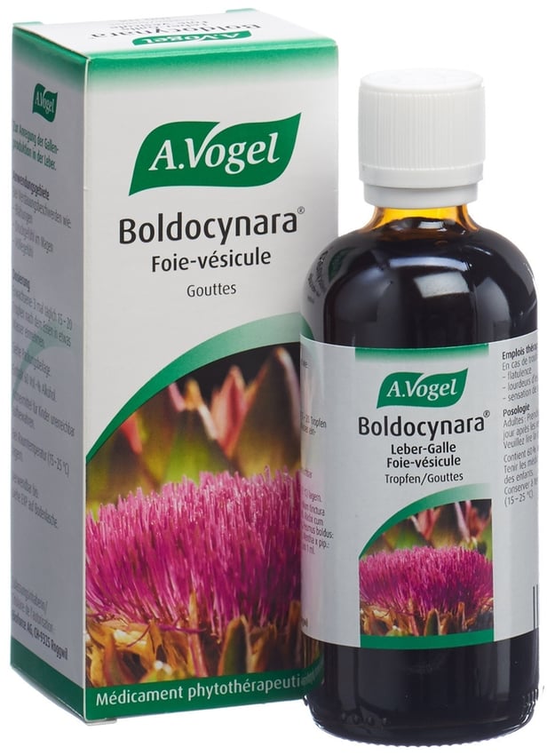 VOGEL Boldocynara foie-vésicule gouttes fl 100 ml