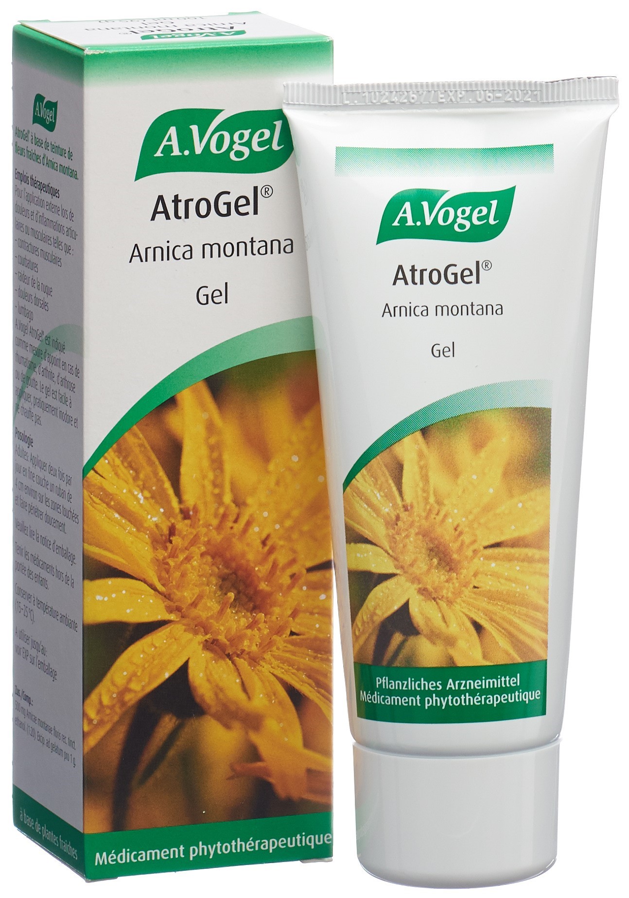 VOGEL AtroGel Arnica montana tb 100 ml