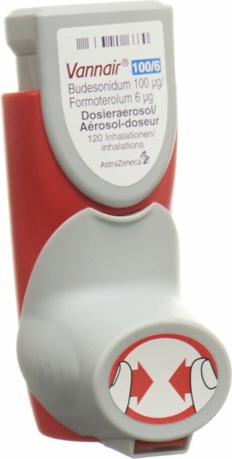 Vannair 100/6, Dosieraerosol