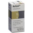 Yondelis 1 mg, Pulver für ein Konzentrat zur Herstellung einer Infusionslösung