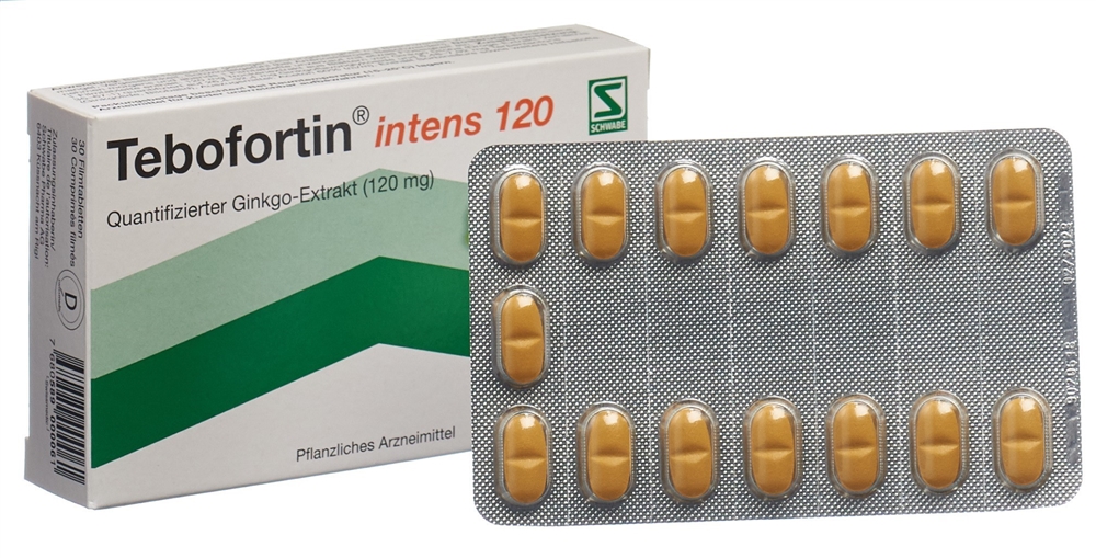 TEBOFORTIN intens 120 cpr pell 120 mg 30 pce