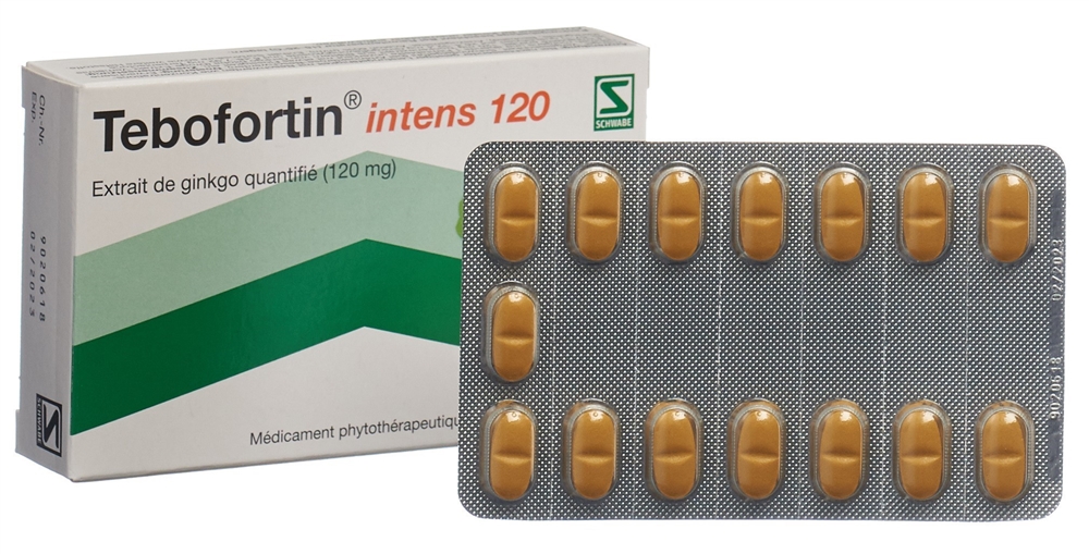 TEBOFORTIN intens 120 cpr pell 120 mg 30 pce