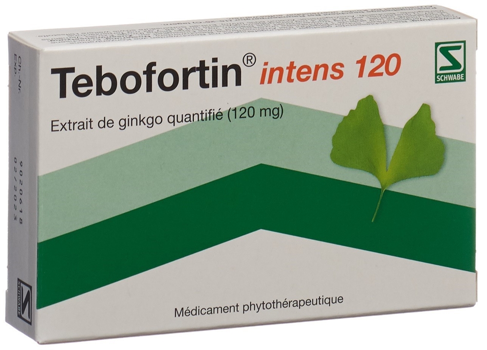 TEBOFORTIN intens 120 cpr pell 120 mg 30 pce