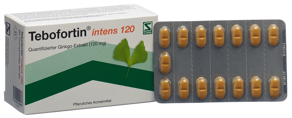 TEBOFORTIN intens 120 cpr pell 120 mg 90 pce