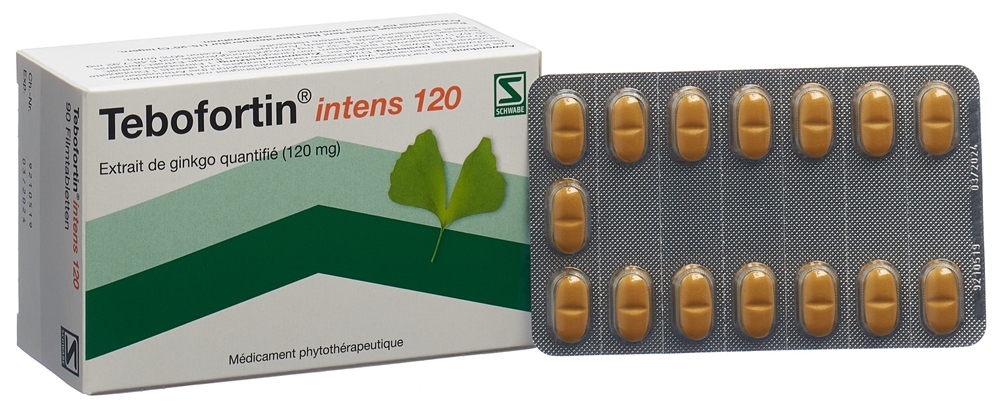 TEBOFORTIN intens 120 cpr pell 120 mg 90 pce