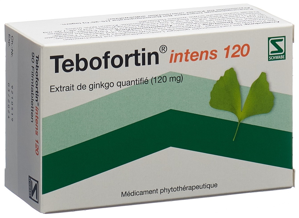 TEBOFORTIN intens 120 cpr pell 120 mg 90 pce