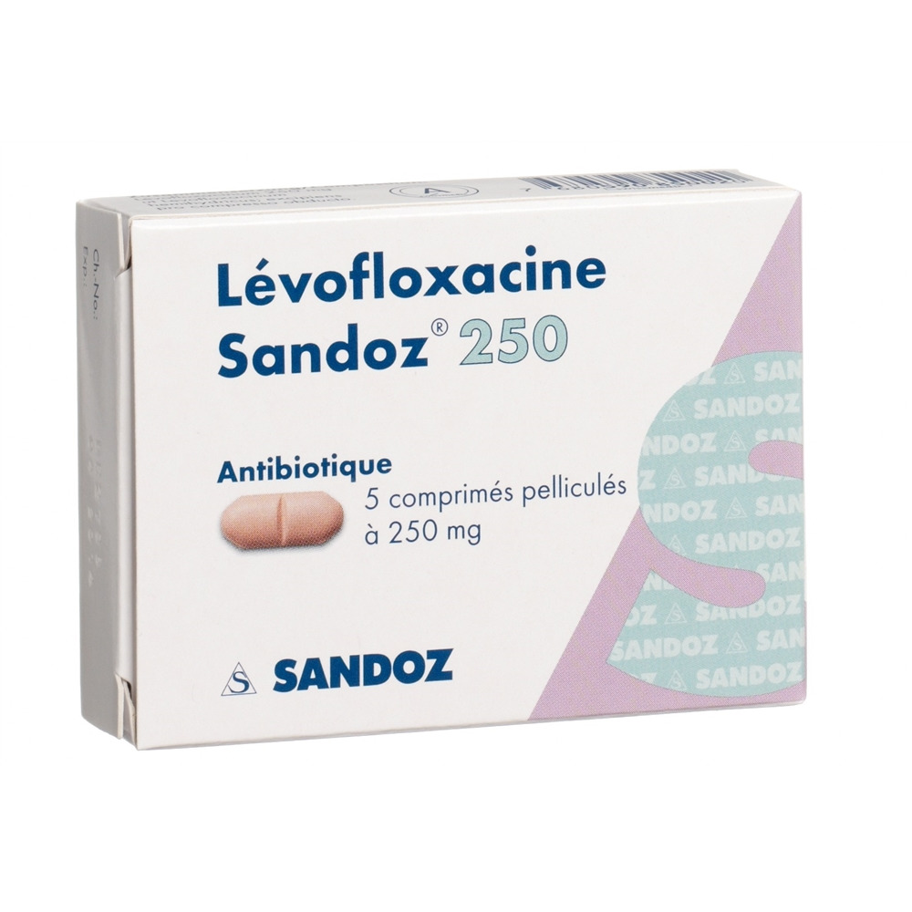 Levofloxacin Sandoz 250, Filmtabletten