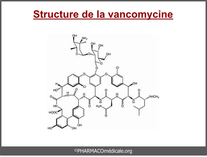 VANCOMYCINE Labatec 1 g flac