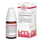 Provokations-Test Robinia pseudoacacia, Pulver und Lösungsmittel zur Herstellung einer Provokationstestlösung