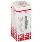 Provokations-Test Robinia pseudoacacia, Pulver und Lösungsmittel zur Herstellung einer Provokationstestlösung