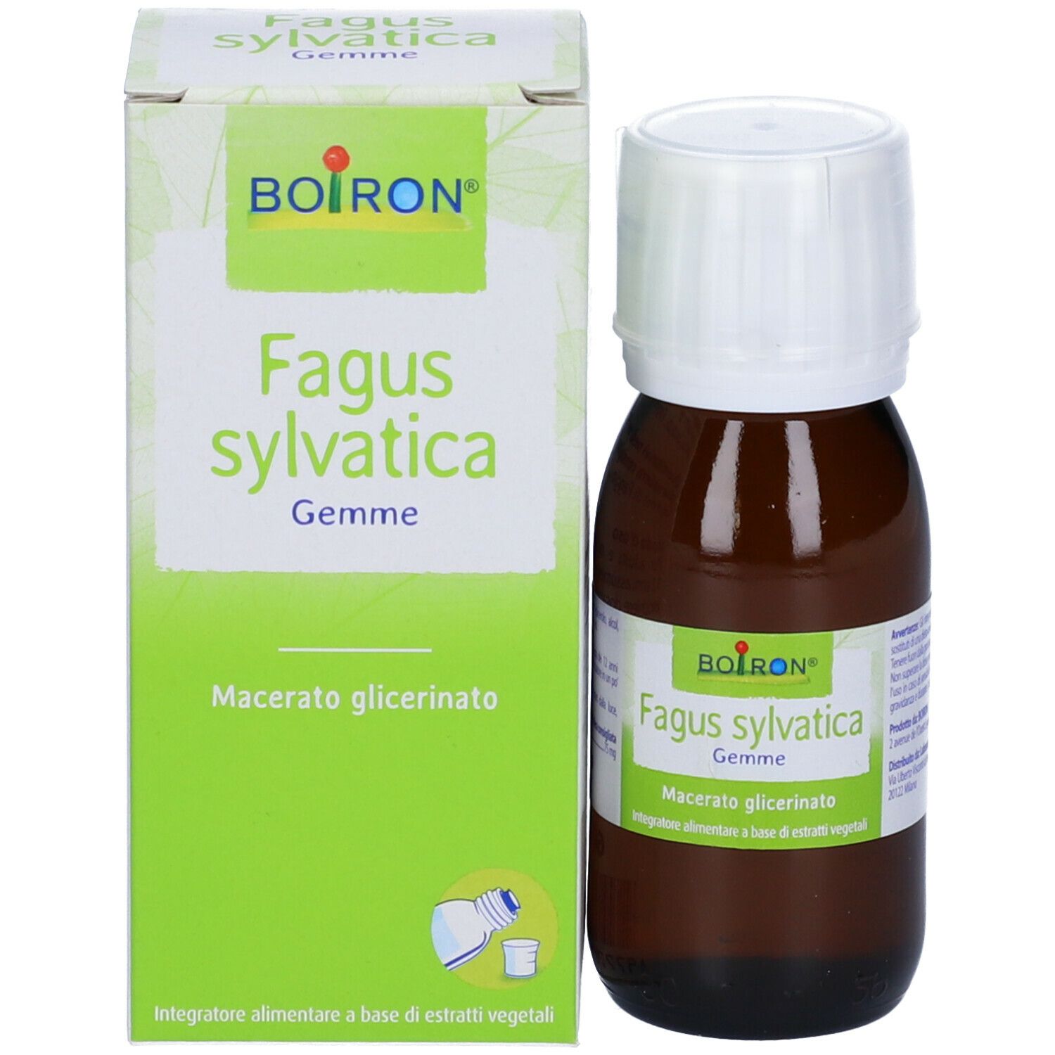 Provokations-Test Fagus sylvatica, Pulver und Lösungsmittel zur Herstellung einer Provokationstestlösung