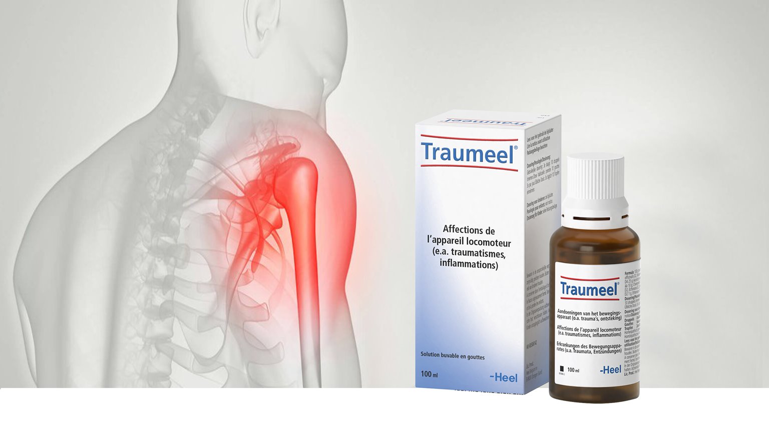 Traumeel, Tropfen zum Einnehmen