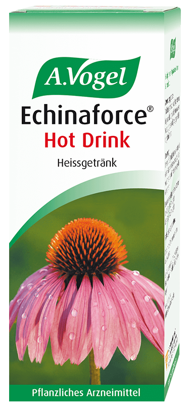 Echinaforce Hot Drink, Solution 100 ml