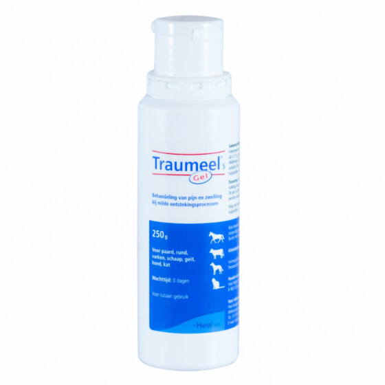 Traumeel S, Gel