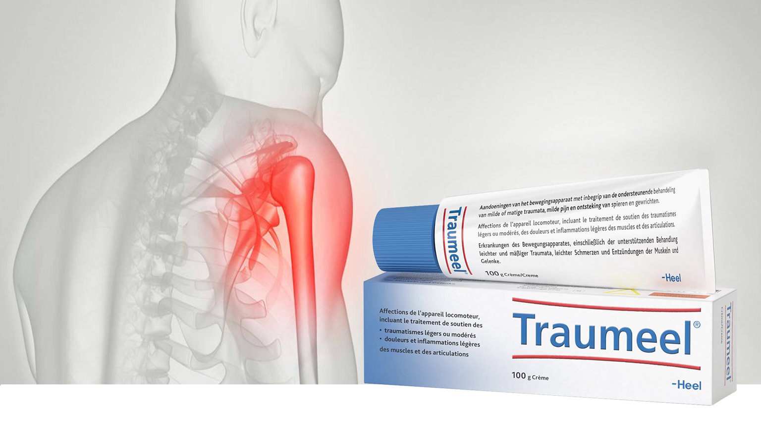 Traumeel S, Crème
