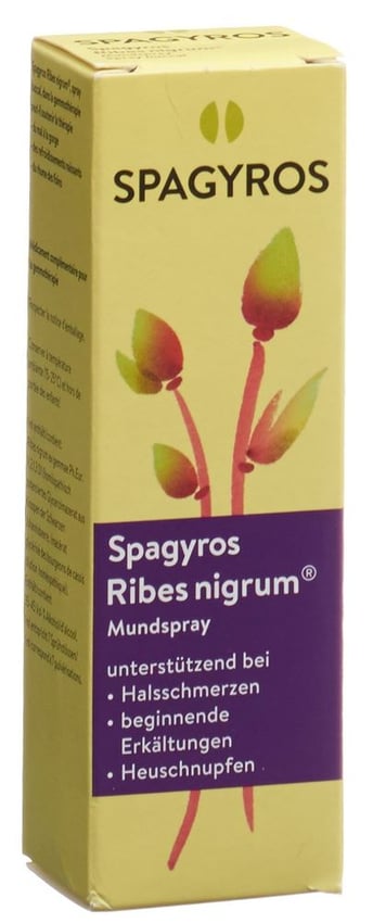 Spagyros Ribes nigrum, Spray zur Anwendung in der Mundhöhle