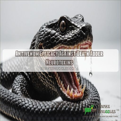 Death Adder Antivenom
