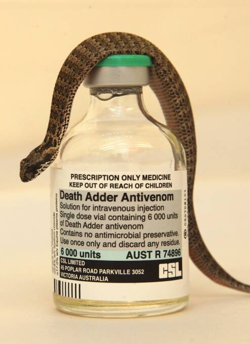 Death Adder Antivenom