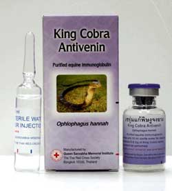 King Cobra Antivenin