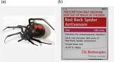 Red Back Spider Antivenom